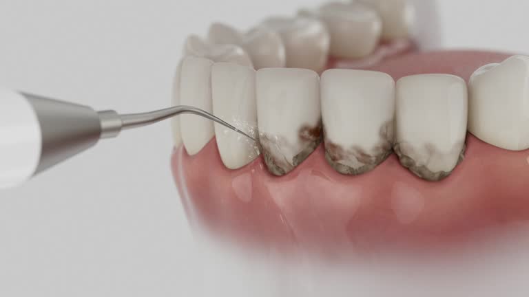 Reliable Dental contractor in McIntosh County County, ND by Dentist Open Now